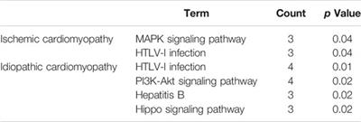 Ferroptosis Related Genes in Ischemic and Idiopathic Cardiomyopathy: Screening for Potential Pharmacological Targets